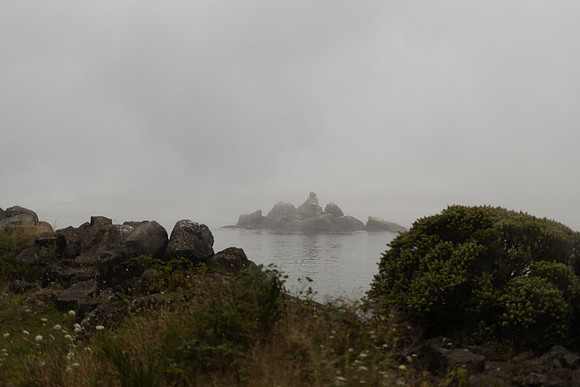 Oregon Coast 2024 -AW2A5241 - ©