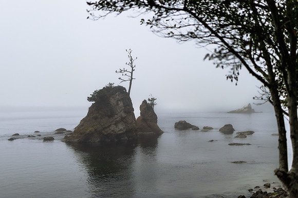 Oregon Coast 2024 -AW2A5135 - ©