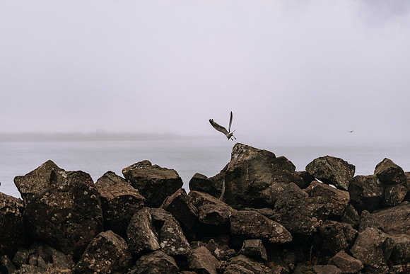 Oregon Coast 2024 -AW2A5242 - ©