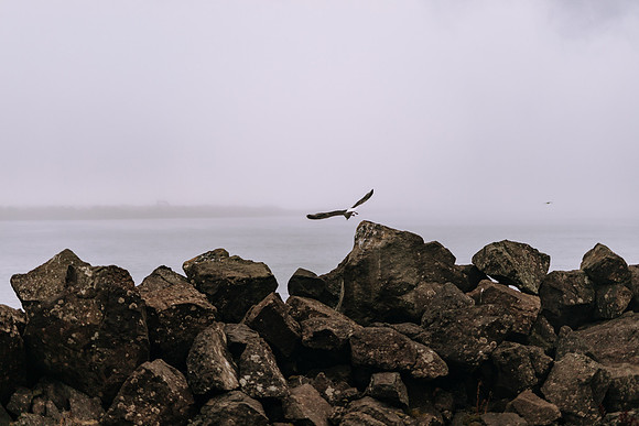 Oregon Coast 2024 -AW2A5244 - ©