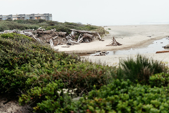 Oregon Coast 2024 -AW2A5744 - ©
