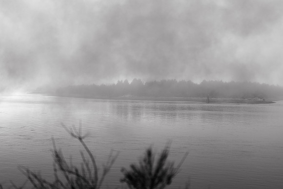 Oregon Coast 2024 -AW2A5027 - ©