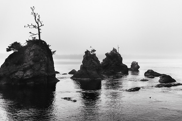 Oregon Coast 2024 -AW2A5147 - ©