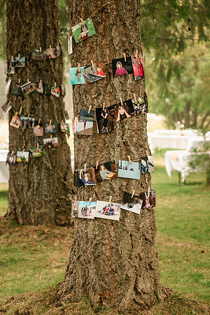 IMG_1161 - Rose & Wyatt Kays Wedding -  September 13, 2020 - Radiant Photography by Selina - Selina Gilchrist