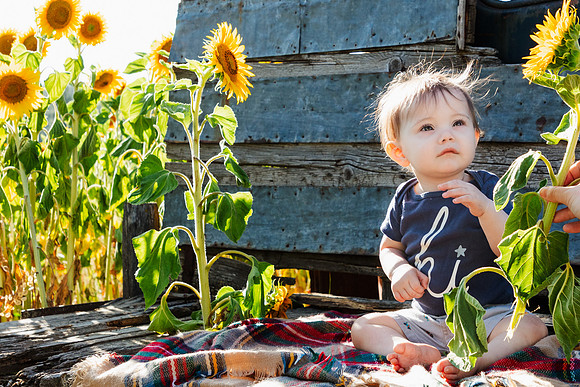 IMG_8732-EditAndy & Family - Half Moon BloomsAugust 03, 2020 Radiant Photography by Selina - Selina Gilchrist