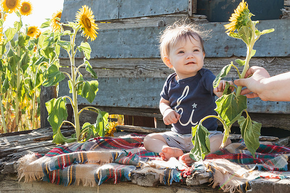 IMG_8733Andy & Family - Half Moon BloomsAugust 03, 2020 Radiant Photography by Selina - Selina Gilchrist