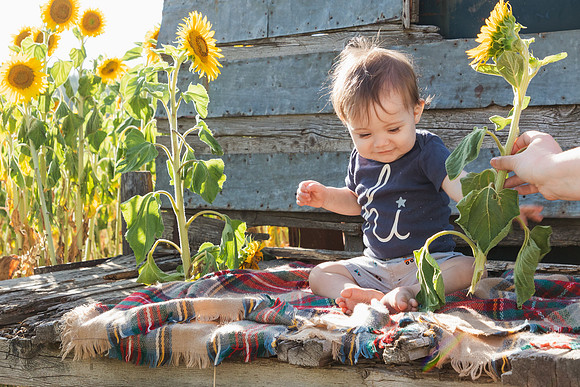 IMG_8734Andy & Family - Half Moon BloomsAugust 03, 2020 Radiant Photography by Selina - Selina Gilchrist