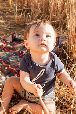 IMG_8933Andy & Family - Half Moon BloomsAugust 03, 2020 Radiant Photography by Selina - Selina Gilchrist