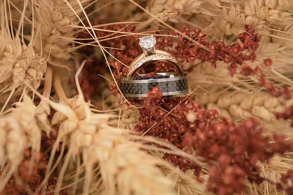 IMG_6798 Jo & Jocko wedding October 10, 2020  Radiant Photography by Selina - Selina Gilchrist