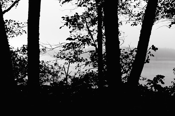 Oregon Coast 2024 -AW2A4979 - ©