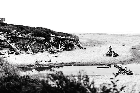 Oregon Coast 2024 -AW2A5827 - ©
