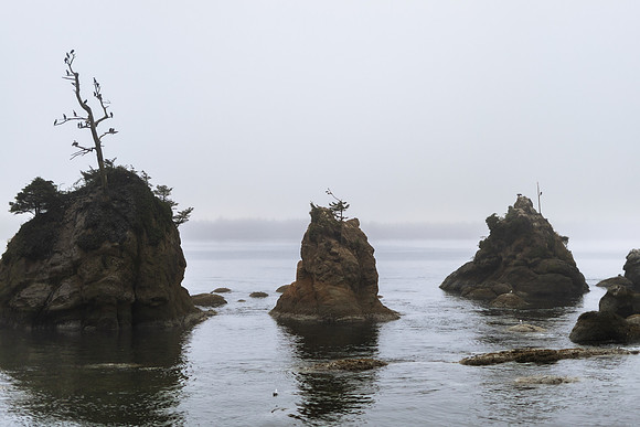 Oregon Coast 2024 -AW2A5153 - ©