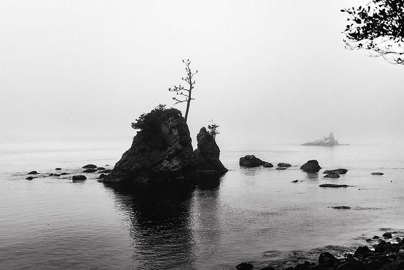 Oregon Coast 2024 -AW2A5118 - ©