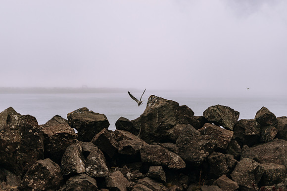 Oregon Coast 2024 -AW2A5252 - ©