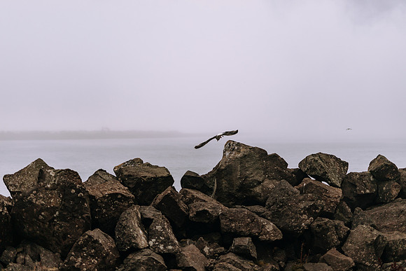 Oregon Coast 2024 -AW2A5245 - ©