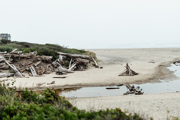 Oregon Coast 2024 -AW2A5824 - ©