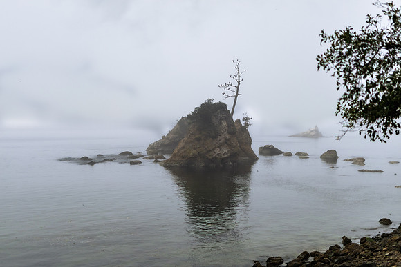 Oregon Coast 2024 -AW2A5102 - ©