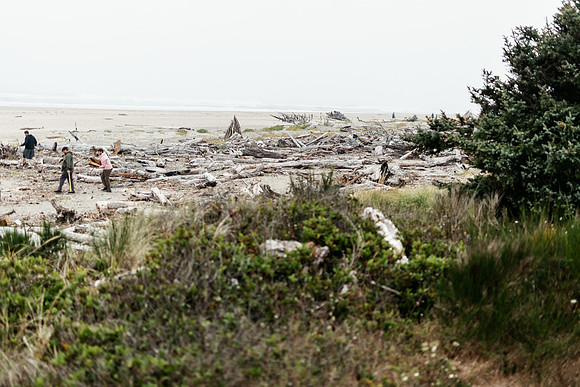 Oregon Coast 2024 -AW2A5765 - ©