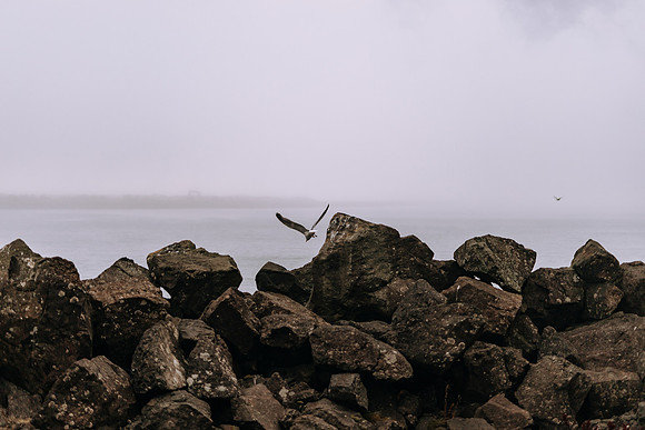 Oregon Coast 2024 -AW2A5253 - ©