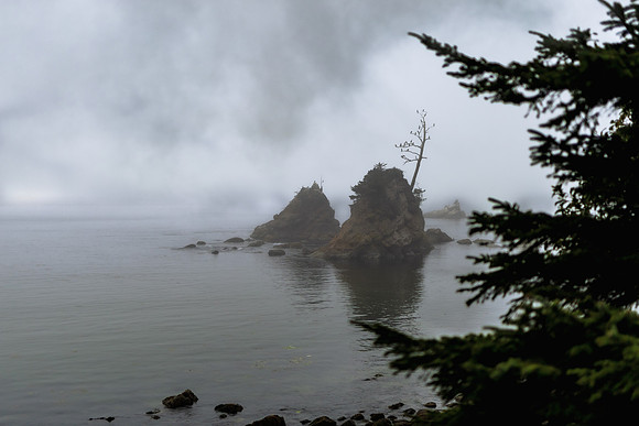 Oregon Coast 2024 -AW2A5100 - ©