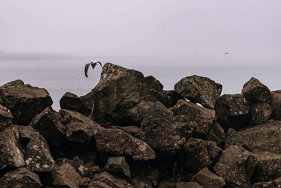 Oregon Coast 2024 -AW2A5248 - ©