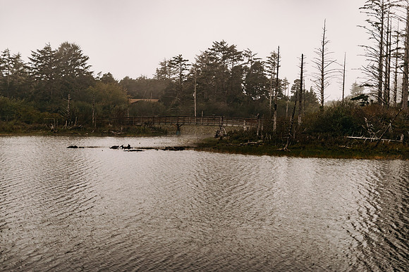 Oregon Coast 2024 -AW2A5402 - ©