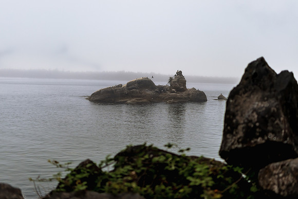 Oregon Coast 2024 -AW2A5188 - ©