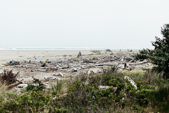 Oregon Coast 2024 -AW2A5804 - ©