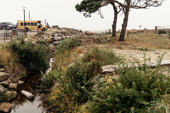 Oregon Coast 2024 -AW2A5622 - ©