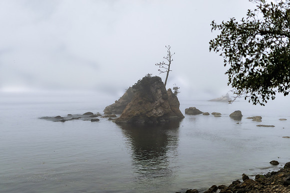 Oregon Coast 2024 -AW2A5109 - ©