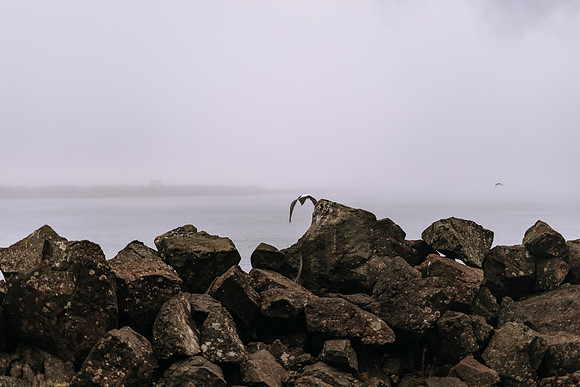 Oregon Coast 2024 -AW2A5247 - ©