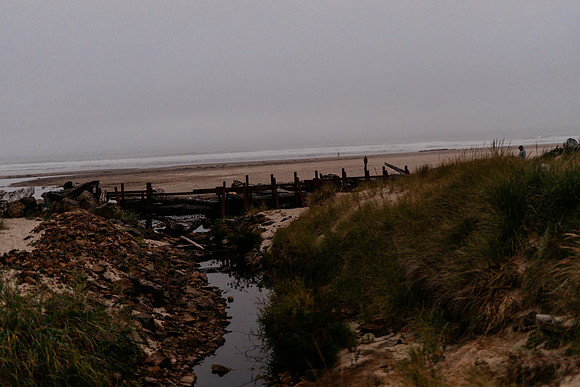 Oregon Coast 2024 -AW2A5881 - ©