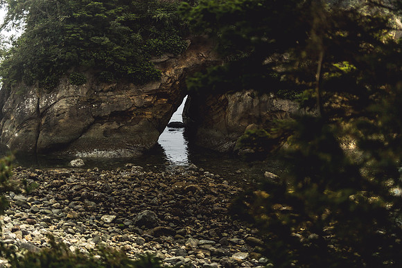 Oregon Coast 2024 -AW2A5083 - ©