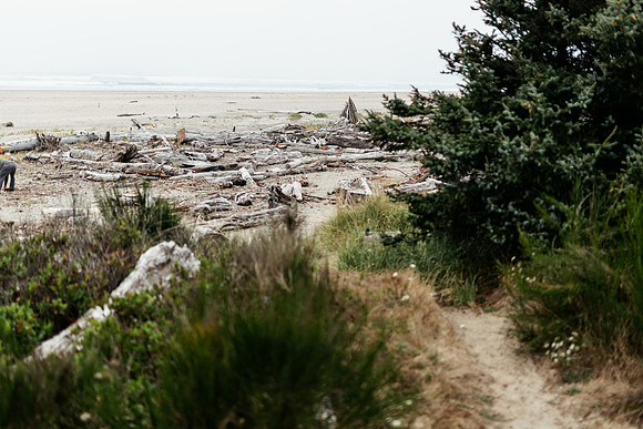 Oregon Coast 2024 -AW2A5773 - ©