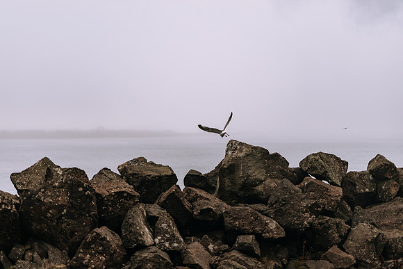 Oregon Coast 2024 -AW2A5243 - ©