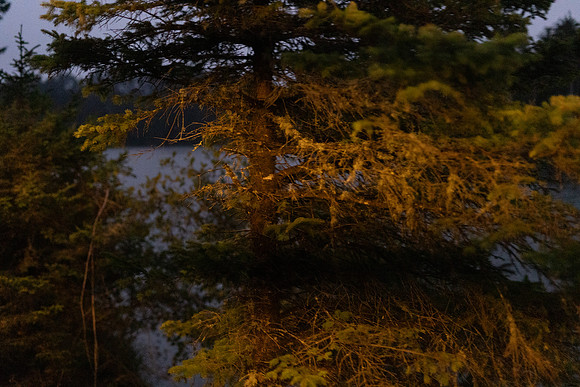 Oregon Coast 2024 -AW2A5982 - ©