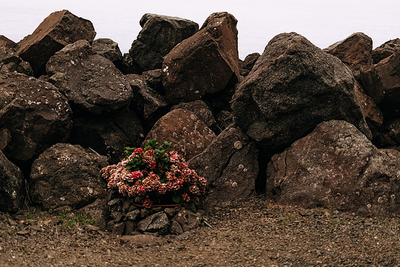 Oregon Coast 2024 -AW2A5254 - ©