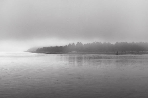 Oregon Coast 2024 -AW2A5037 - ©