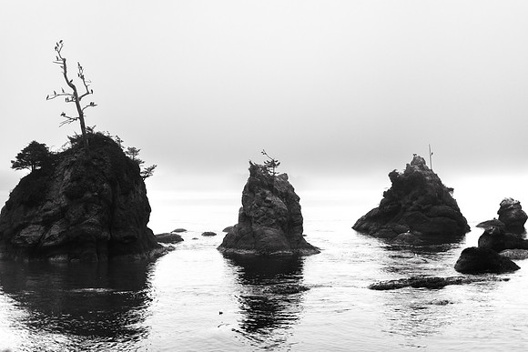 Oregon Coast 2024 -AW2A5154 - ©