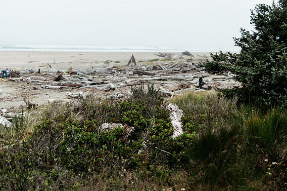Oregon Coast 2024 -AW2A5802 - ©
