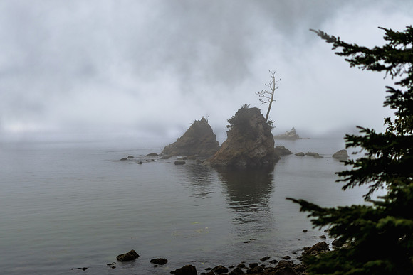 Oregon Coast 2024 -AW2A5091 - ©