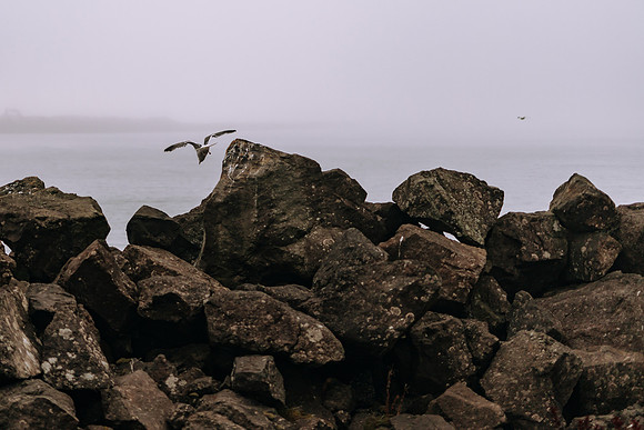 Oregon Coast 2024 -AW2A5250 - ©