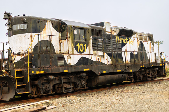 Oregon Coast 2024 -AW2A4828 - ©