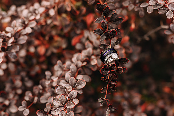 Ashley & Ian Wedding - AW2A0498 - ©Selina Gilchrist