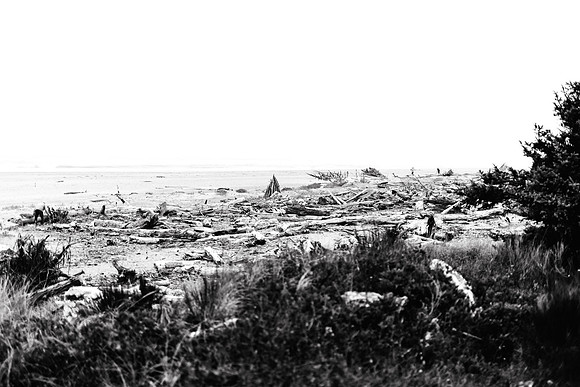 Oregon Coast 2024 -AW2A5805 - ©
