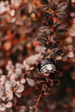 Ashley & Ian Wedding - AW2A0502 - ©Selina Gilchrist