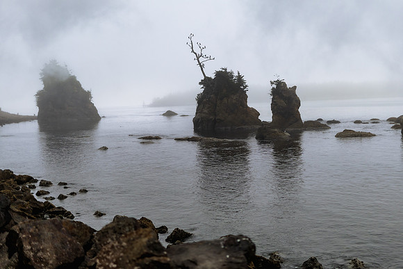 Oregon Coast 2024 -AW2A5165 - ©