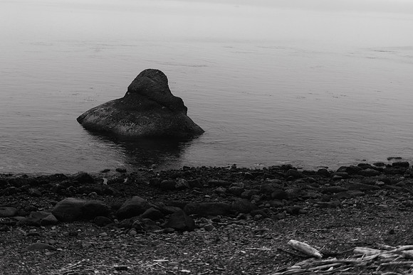 Oregon Coast 2024 -AW2A5052 - ©