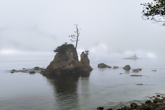 Oregon Coast 2024 -AW2A5117 - ©