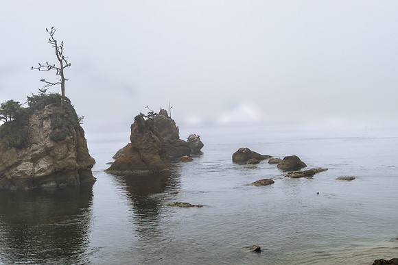 Oregon Coast 2024 -AW2A5136 - ©